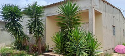 Casa, 3 quartos, 400 m² - Foto 5