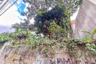 Terreno, 195 m² - Foto 4