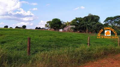 Sítio, 3 quartos, 2 hectares - Foto 4