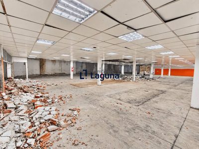 Depósito-Galpão, 4842 m² - Foto 4