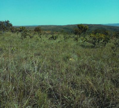 Fazenda, 723 hectares - Foto 3