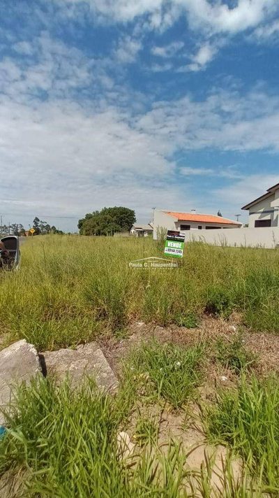 Terreno, 484 m² - Foto 3