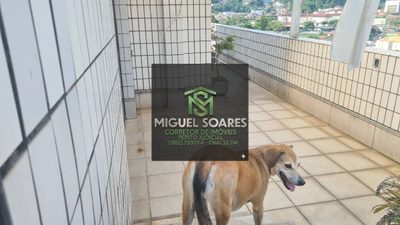 Cobertura, 4 quartos, 370 m² - Foto 4