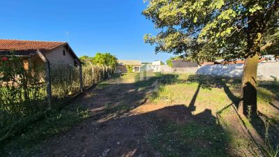 Chácara, 2 quartos, 1100 m² - Foto 4