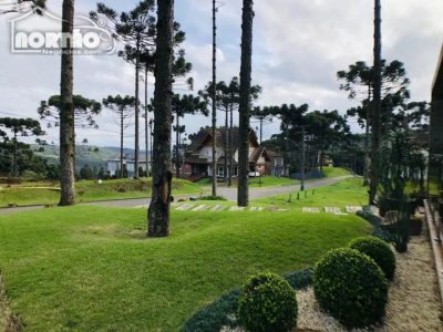 Casa, 5 quartos, 567 m² - Foto 4