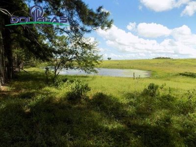 Sítio, 2 quartos, 19 hectares - Foto 2