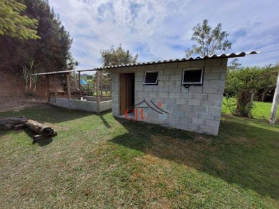 Chácara, 2 quartos, 4800 m² - Foto 4