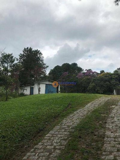 Terreno, 2 hectares - Foto 4