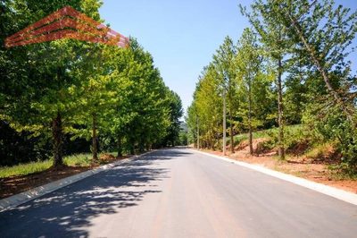 Terreno, 1000 m² - Foto 2