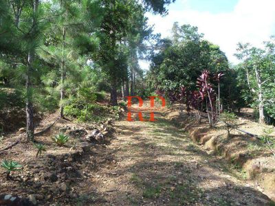 Sítio, 3 quartos, 3 hectares - Foto 4