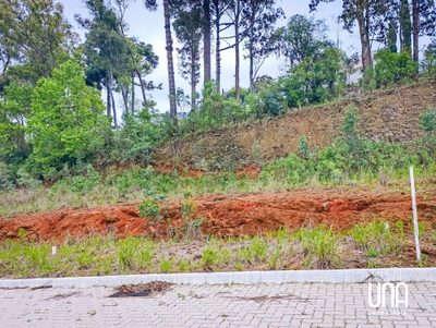 Terreno, 246 m² - Foto 4