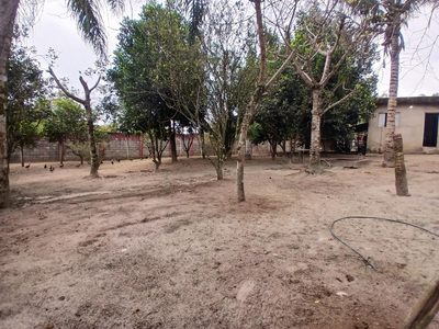 Fazenda, 3070 m² - Foto 5