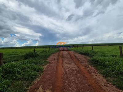 Fazenda, 837 hectares - Foto 2