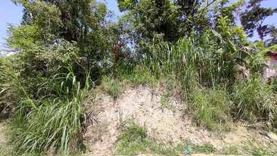 Terreno, 1008 m² - Foto 3