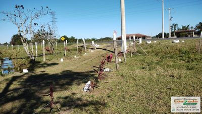 Terreno, 48 hectares - Foto 4