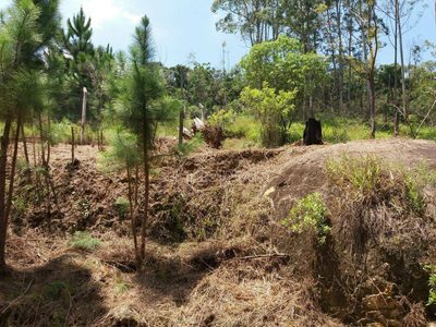 Terreno, 2 hectares - Foto 1