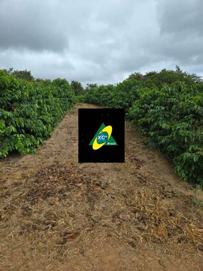 Fazenda, 256 hectares - Foto 2