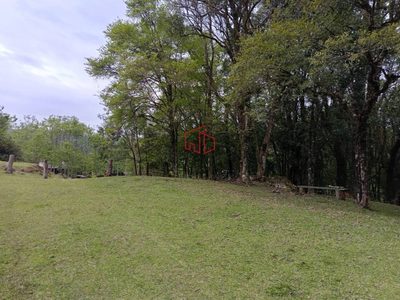 Terreno, 3 hectares - Foto 5
