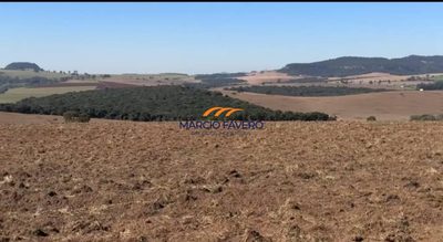 Fazenda, 639 hectares - Foto 5