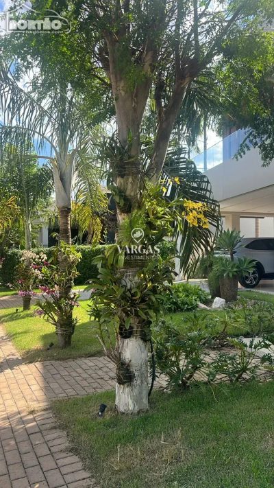Casa, 1 quarto, 430 m² - Foto 3