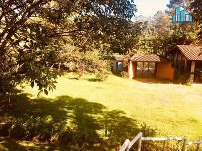 Chácara, 3 quartos, 3430 m² - Foto 4