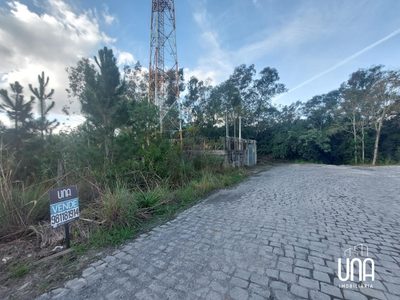 Terreno, 2516 m² - Foto 2