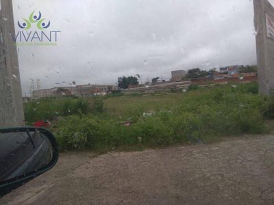 Terreno, 7500 m² - Foto 3