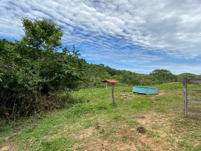 Fazenda, 214 hectares - Foto 4