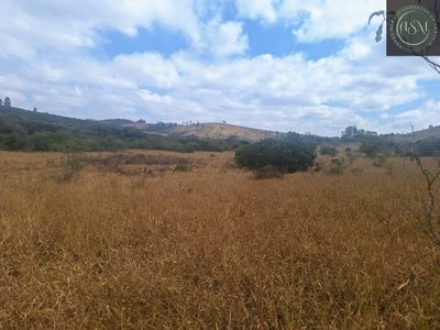 Fazenda, 55 hectares - Foto 5