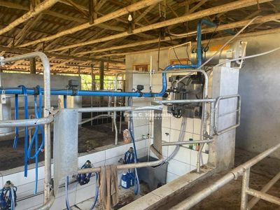 Fazenda, 98 hectares - Foto 5