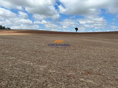 Fazenda, 278 hectares - Foto 1