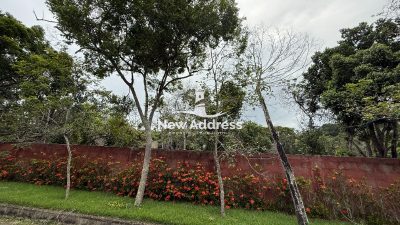 Casa, 5 quartos, 450 m² - Foto 4