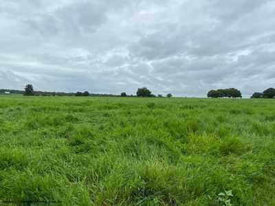 Chácara, 722 hectares - Foto 5