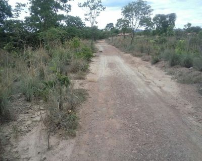 Fazenda, 10 hectares - Foto 1