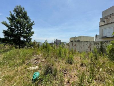 Terreno, 333 m² - Foto 4