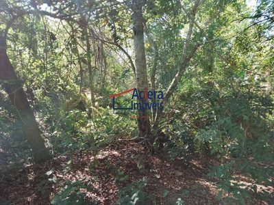 Loteamento e Condomínio, 575 m² - Foto 1