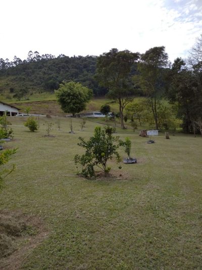 Sítio, 3 quartos, 7 hectares - Foto 1