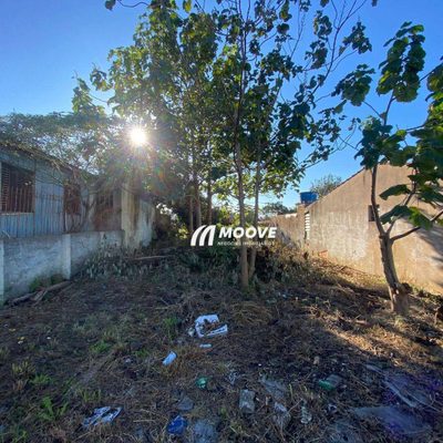 Terreno, 300 m² - Foto 5