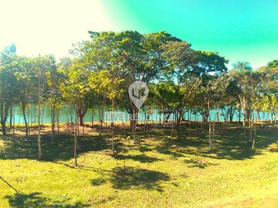 Terreno, 1000 m² - Foto 2