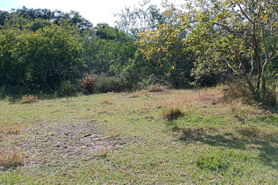 Fazenda, 4 hectares - Foto 2