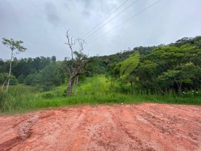 Terreno, 7 hectares - Foto 4