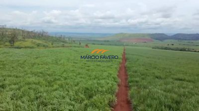 Fazenda, 796 hectares - Foto 1