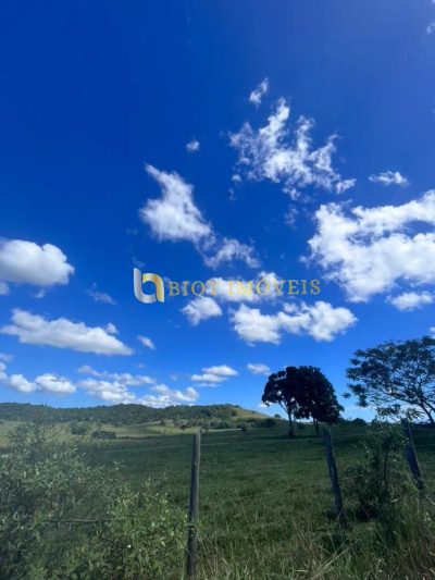 Fazenda, 252 hectares - Foto 4