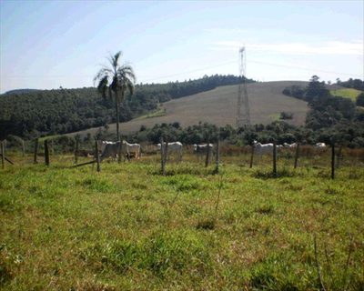 Sítio, 1 quarto, 10 m² - Foto 1