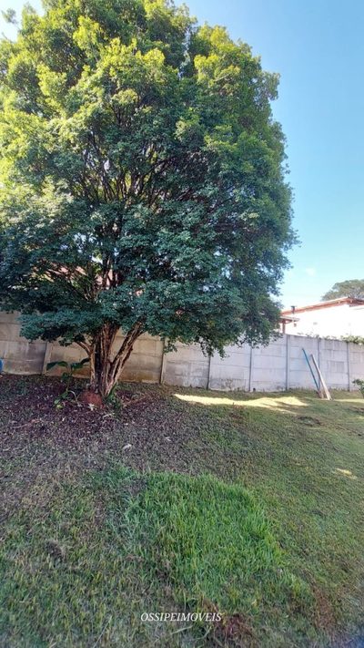 Terreno, 500 m² - Foto 5
