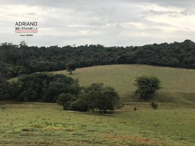 Terreno, 43 hectares - Foto 2