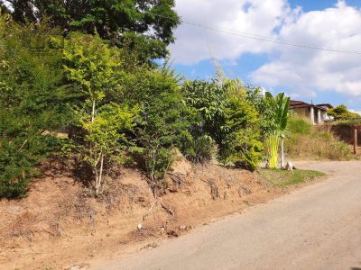 Terreno, 1812 m² - Foto 4