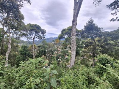 Terreno, 1500 m² - Foto 5