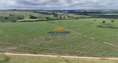 Fazenda, 242 hectares - Foto 1