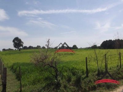 Terreno, 4 hectares - Foto 1